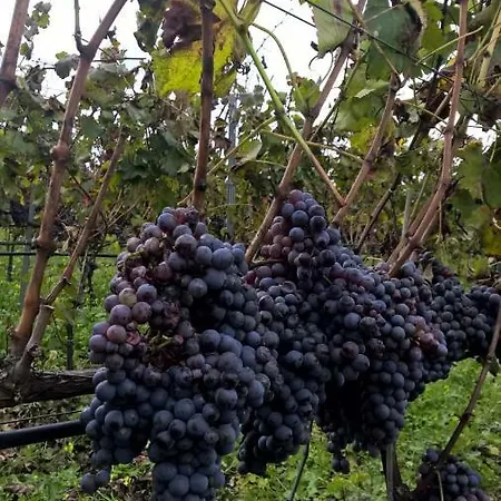 I Tre Campanili Sull'etna Linguaglossa